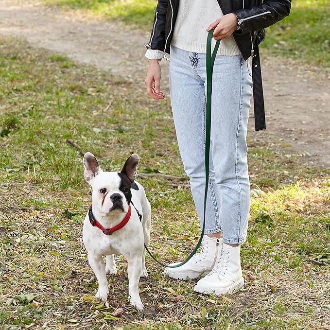 Dogline Biothane Waterproof Dog Leash Strong Coated Nylon Webbing with Black Hardware Odor-Proof Easy to Clean High Performance for Small or Large Dogs Made in USA 4 or 6 ft Lead, Hunter Green