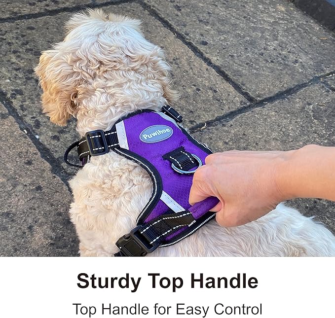 No Pull Dog Harness, Reflective Walking Dog Harness with Easy Control Handle and Front & Back Clips,Adjustable Breathable Soft Padded Dog Vest Harness for Large Medium Small Dogs,Purple,M