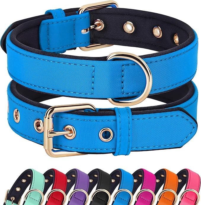 Didog Soft Padded Dog Collar for Large Dogs, Lightweight and Breathable Dog Collar with Metal Buckle, Blue, XL