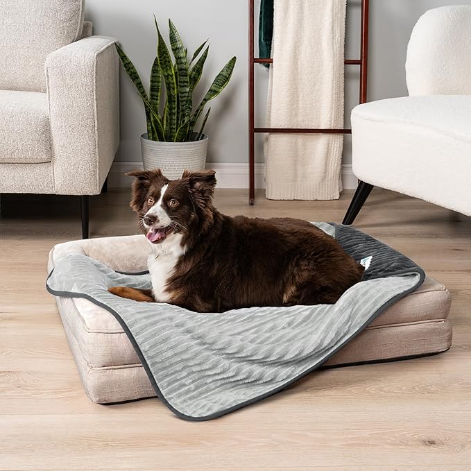 PetAmi Waterproof Dog Blanket, Leakproof Pet Blanket for Small Medium Large Dog, Reversible Furniture Bed Sofa Couch Cover Protector, Soft Striped Pet Throw for Indoor Cat, 29x40 in, Grey Light Gray