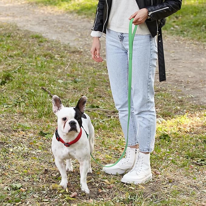Dogline Biothane Waterproof Dog Leash Strong Coated Nylon Webbing with Black Hardware Odor-Proof Easy to Clean High Performance for Small or Large Dogs Made in USA 4 or 6 ft Lead, Sea Foam Green