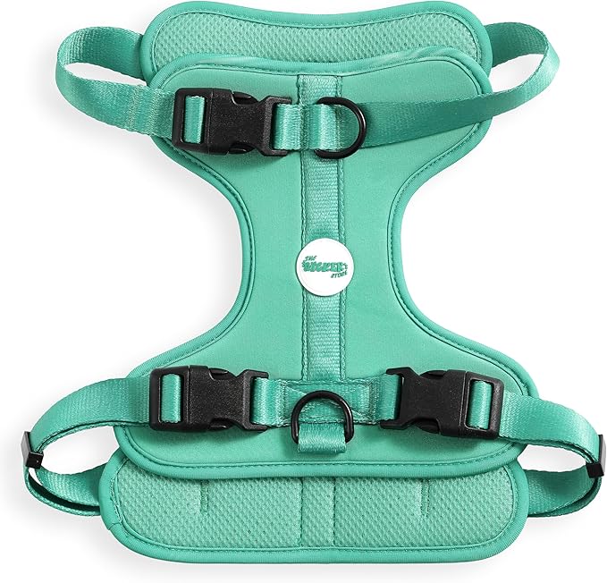 HNS1003K Arlo Large Adjustable Soft Padded No Pull Pet Harness with 3 Buckles and 3 Leash Clips, Julep