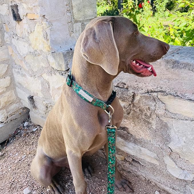 Lucky Love Dog - Adjustable Dog Collar with Easy Click Holly for Large Ones, Durable, & Comfortable for Male & Female Dogs, Pet Collar for Puppies & Adult Dogs - Holly, Large
