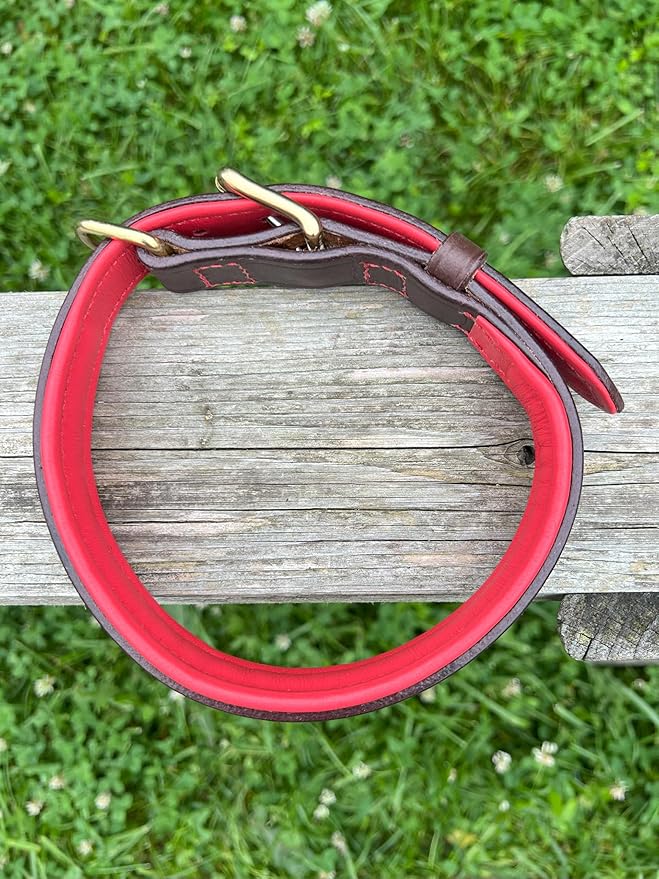 Leaders Leather Dog Collar with Customized Name Plate (Red/Brown Medium/Large (15"-19"))