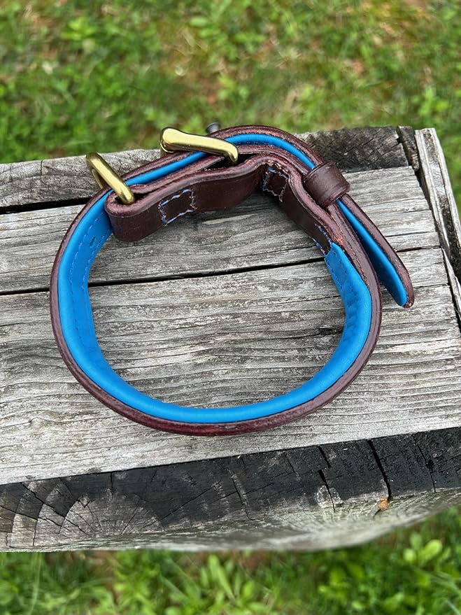 Leaders Leather Dog Collar with Customized Name Plate (Royal Blue/Brown Small (9"-12"))