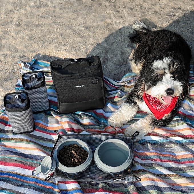 Cleverpup Large 7-Piece Bistro Box Dog Food Travel Kit, 12 Cup BPA-Free Kibble Storage, 2 Silicone Bowls, Mat & Scoop - Portable Pet Food Kit for Weekends, Overnights, Daycare & Camping, Graphite