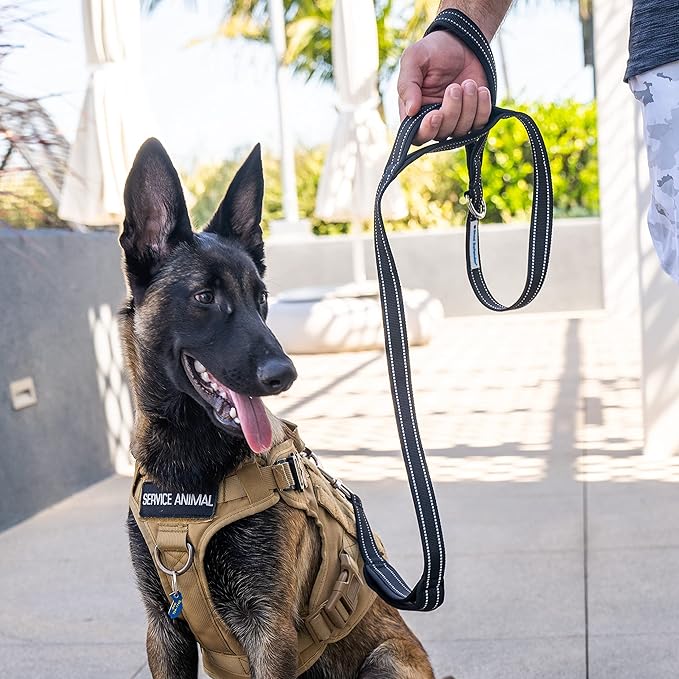 Shed Defender 5 ft. Standard Dog Leash - Three Padded Traffic Handles, Designed in The USA, Dual Layered Thickness Heavy Duty, Reflective Stitching, Large Dogs & Small Breed, Training Lead (Black)
