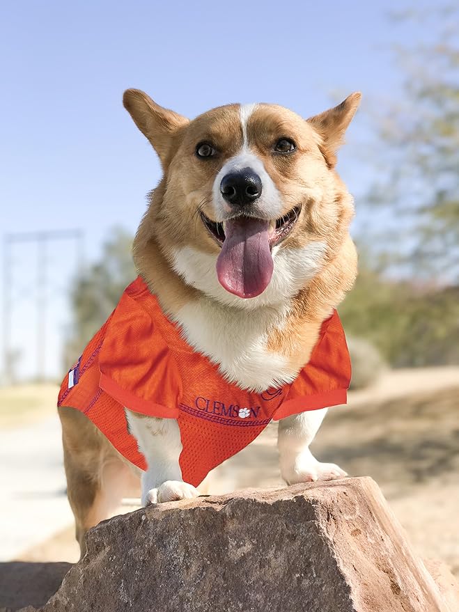 Pets First NCAA College Clemson Tigers Mesh Jersey for DOGS & CATS, Large. Licensed Dog Jersey with your Favorite Football/Basketball College Team