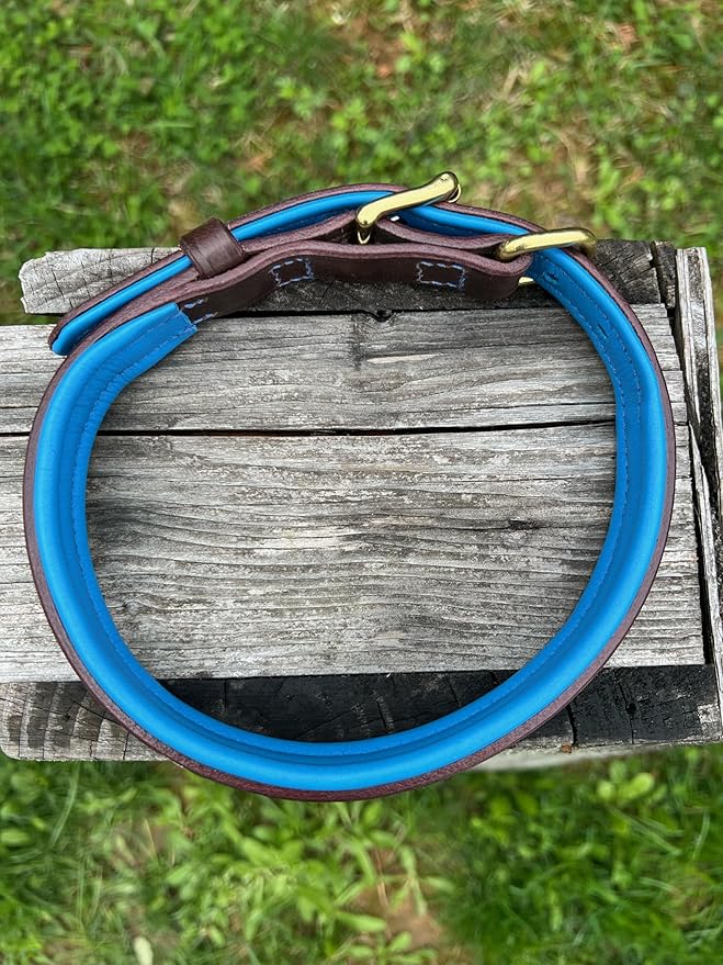 Leaders Leather Dog Collar with Customized Name Plate (Royal Blue/Brown Medium/Large (15"-19"))