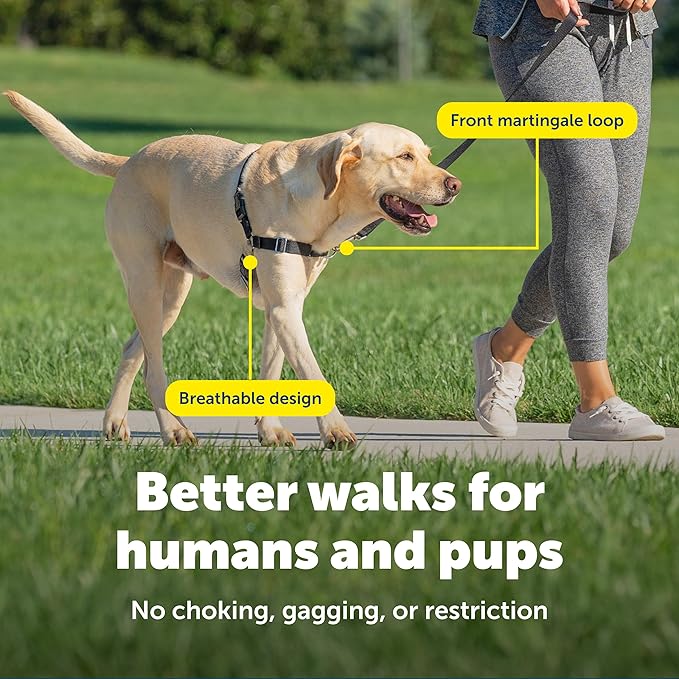 PetSafe Easy Walk Harness for Dogs - Pull-Free Walks - Patented Martingale Loop Design - Front Chest Leash Attachment - Comfort Straps - Breathable Harness Design - Large, Red/Black