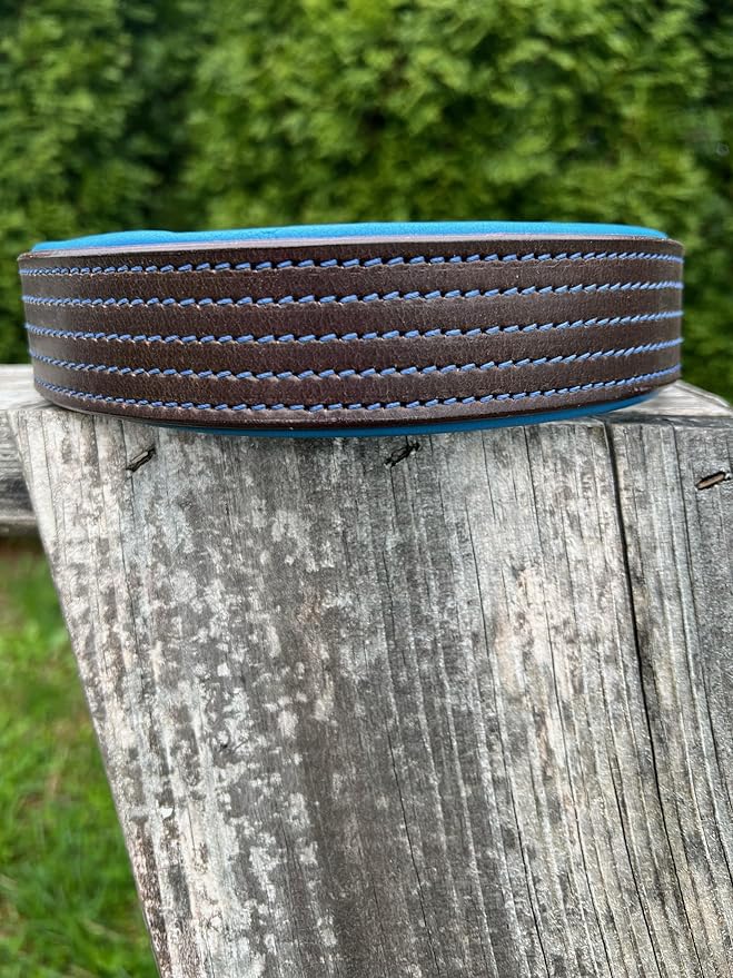 Leaders Leather Dog Collar with Customized Name Plate (Royal Blue/Brown Extra Large (21"-26"))