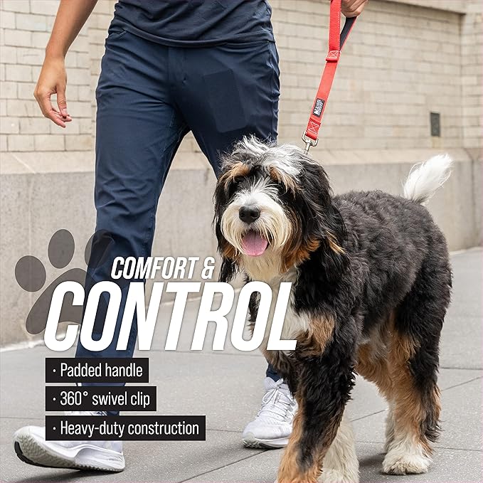 Leashboss Short Dog Leash for Dog Training | Padded Traffic Handle Short Leash for Dog Training, Total Comfort when Dog Walking | Traffic Leash for Dogs Large, Medium, Small | Short Nylon Dog Lead