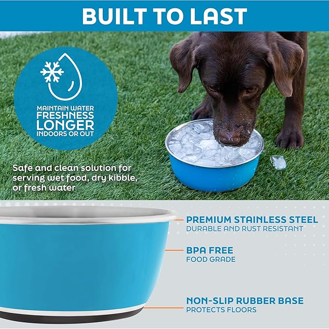 Master Pet Supply Stainless Steel Dog Bowls Set of 2 (16 Oz Each) with Non-Slip Rubber Base - Graphite - Basic Dog Food Bowl Water & Food Bowls for Small Medium Large Dogs & Cats, Metal Dish