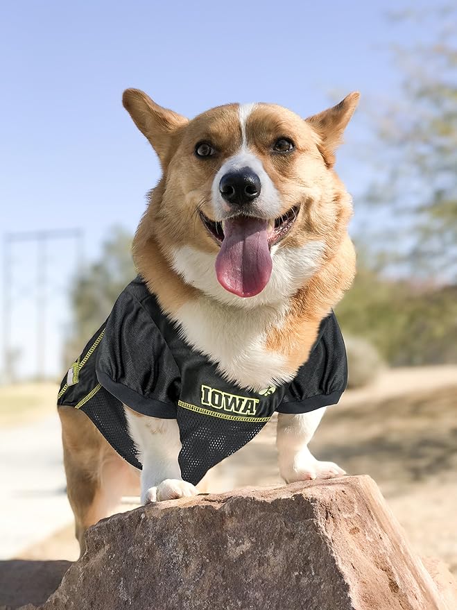 Pets First NCAA College Iowa Hawkeyes Mesh Jersey for DOGS & CATS, X-Large. Licensed Dog Jersey with your Favorite Football/Basketball College Team