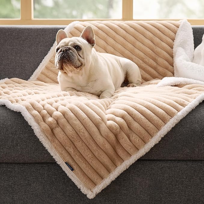 Bedsure ComfyFleece Waterproof Dog Blankets for Medium Dogs - Soft Puppy Cat Blanket Corduroy Fleece Washable, Cozy Calming Reversible Furniture Protection for Pet Kitten Doggy,30"x40", Tuscan Beige