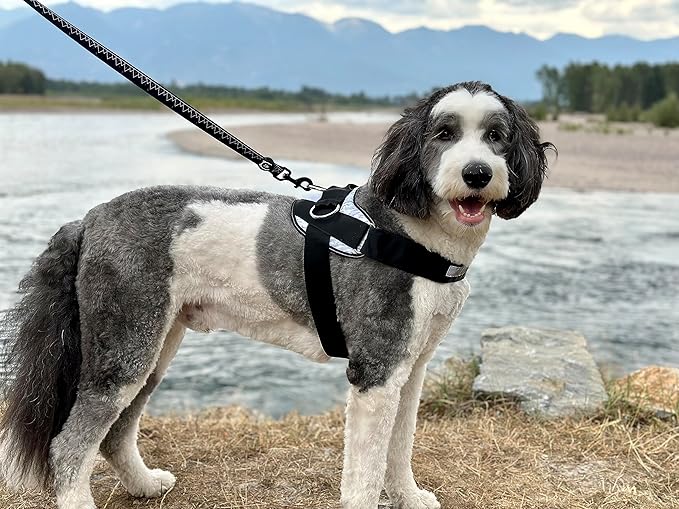 ShawnCo Essential Dog Harness, No-Pull Pet Vest with 3 Leash Clips, No Choke, Reflective, Adjustable and Padded, for Easy Walking and Training for Small, Medium and Large Dogs (Driftwood, XL)