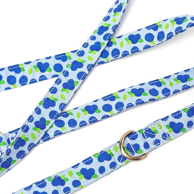 Organic Cotton Dog Leash for Small,Medium and Large Breed,Brass Hardware Pet Leash for Walking,Running and Training 6FT