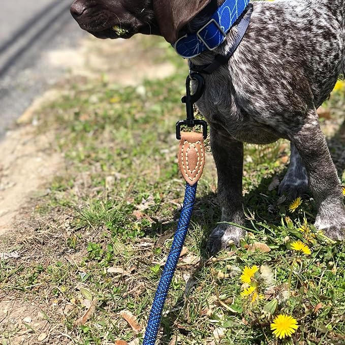 Mile High Life Rope Leash with Genuine Leather Connection, 6 FT/5 FT/4 FT, Heavy Duty Leash for Medium & Large Dogs (Blue, 48 Inch)