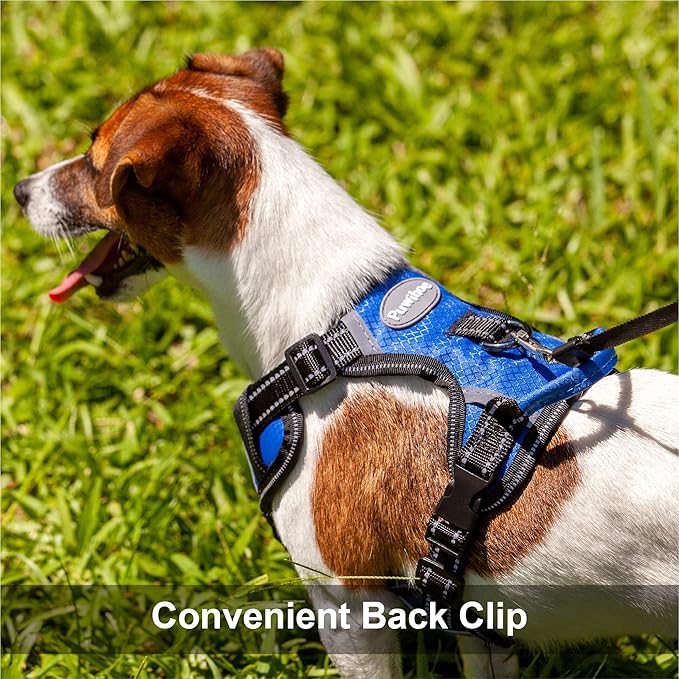 No Pull Dog Harness, Reflective Walking Dog Harness with Easy Control Handle and Front & Back Clips,Adjustable Breathable Soft Padded Dog Vest Harness for Large Medium Small Dogs,Blue,L