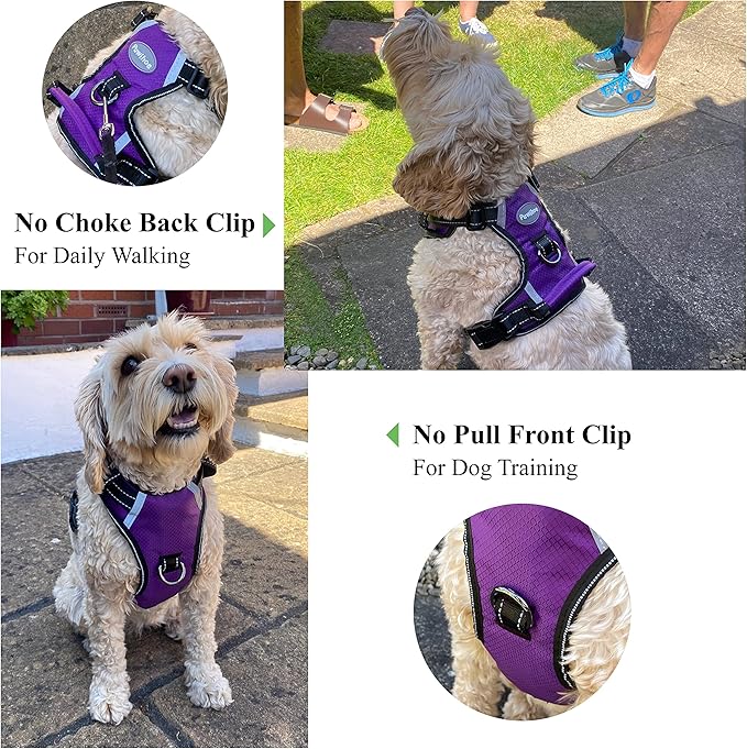 No Pull Dog Harness, Reflective Walking Dog Harness with Easy Control Handle and Front & Back Clips,Adjustable Breathable Soft Padded Dog Vest Harness for Large Medium Small Dogs,Purple,M