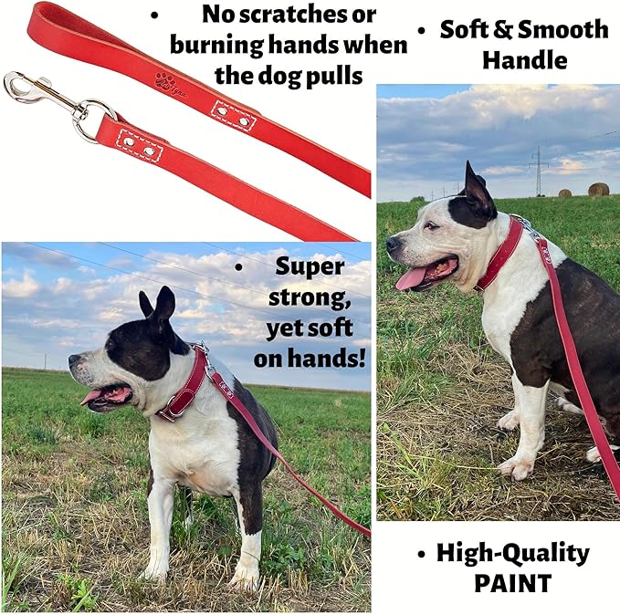 Leather Dog Leash 6 ft x 3/4 inch - Soft, Strong, Heavy Duty for Large & Medium Breeds - Dog Lead for Walking & Training (Red, L - 6 ft x 3/4 inch)