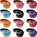 Vicenpal 12 Pcs Double Sided Reflective Dog Leash with Soft Padded Handle, Bulk Nylon Animal Leashes for Medium and Large Dogs Heavy Duty Animal Leash for Walking, Training, 6 Colors(6 ft,Cute Colors)