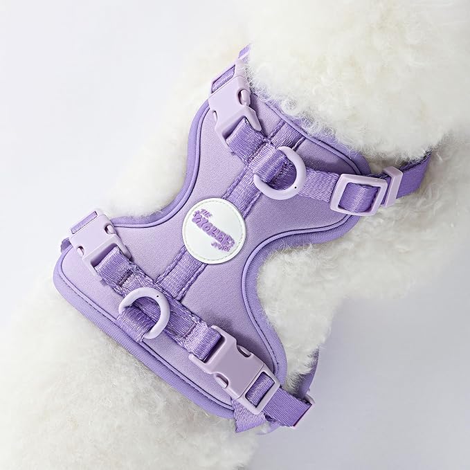 HNS1000H Arlo Extra Small Adjustable Soft Padded No Pull Pet Harness with 3 Buckles and 3 Leash Clips, Bramble