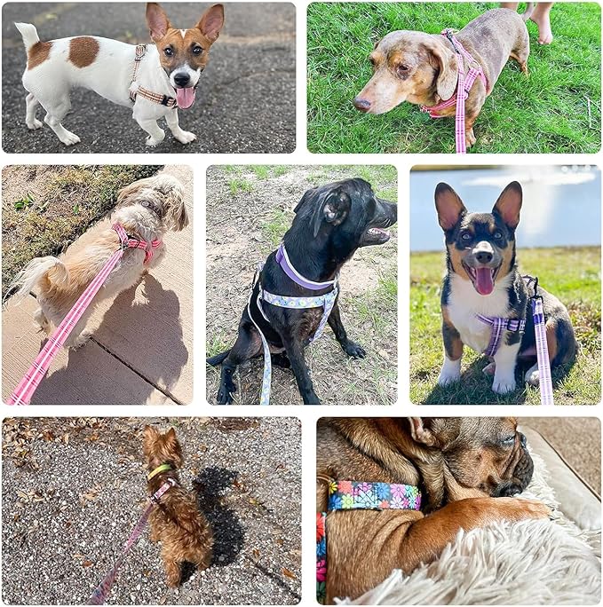 BEAUTYZOO Dog Harness Small Sized Dog Girl, No Pull Dog Harness and Leash Set,Step in Soft Light Puppy Vest, No Choke Heavy Duty Dog Halter with Bell,Breathable Adjustable Nylon Pet Harnesses, Pink M