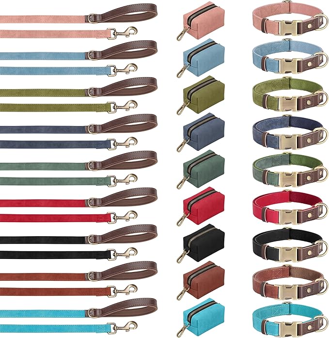Didog PU Leather Dog Leash for Small Dogs 4.5ft, Soft Padded Handle Dog Leashes for Medium Size, Walking and Training Leashes Faux Leather for Large Pet,Green