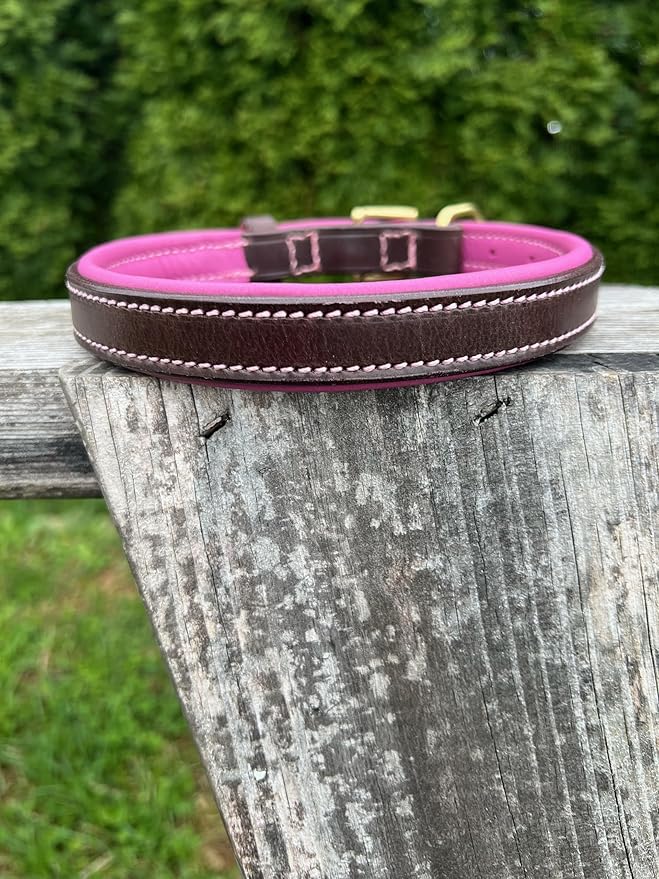 Leaders Leather Dog Collar with Customized Name Plate (Pink/Brown Medium/Large (15"-19"))