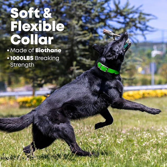 Regal Dog Products Medium Lime Green Waterproof Dog Collars with Custom Engraved Name Plate | Vinyl Coated Anti Easy to Clean Personalized Biothane Dog Collar - Other Sizes for Small & Large Dogs