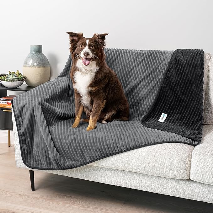 PetAmi Waterproof Dog Blanket, Leakproof Pet Blanket for Small Medium Large Dogs, Reversible Furniture Bed Sofa Couch Cover Protector, Plush Striped Pet Throw for Indoor Cat, 40x60 in, Black Grey