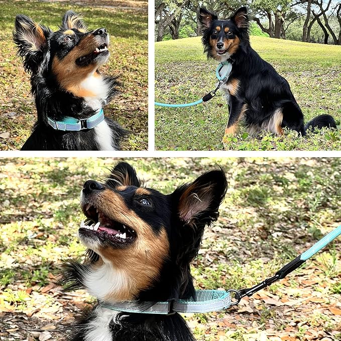 Pawtitas Martingale Dog Collar Puppy Collar Reflective Dog Collar Training Dog Collar Behavioral Dog Collar Medium Dog Collar Camouflage Pink Dog Collar