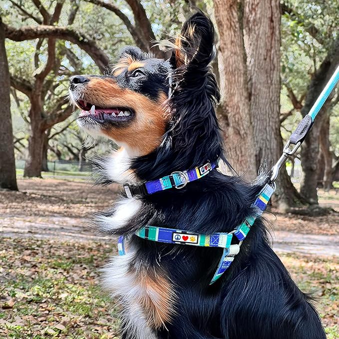 Pawtitas Multicolor Step-in Dog Harness – Adjustable No-Pull Vest for Puppies to Seniors, Safe & Comfortable S Grey/Blue/Green