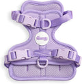HNS1000H Arlo Extra Small Adjustable Soft Padded No Pull Pet Harness with 3 Buckles and 3 Leash Clips, Bramble