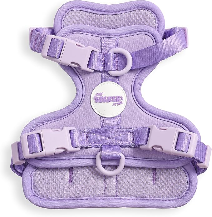 HNS1000H Arlo Extra Small Adjustable Soft Padded No Pull Pet Harness with 3 Buckles and 3 Leash Clips, Bramble