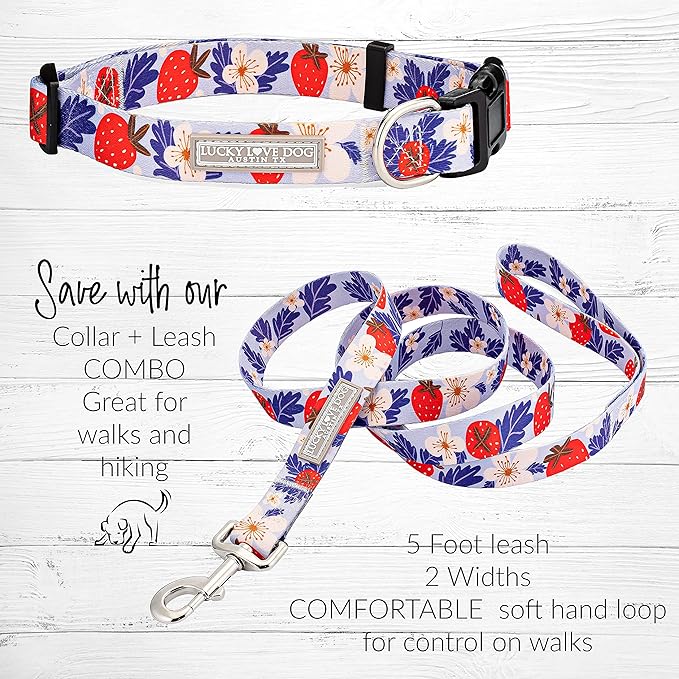 Lucky Love Dog Leash – Soft, Durable, and Comfortable Leash with Vibrant Patterns – Stylish and Long Lasting for Small Male and Female Dogs – Sweet Berry, Small