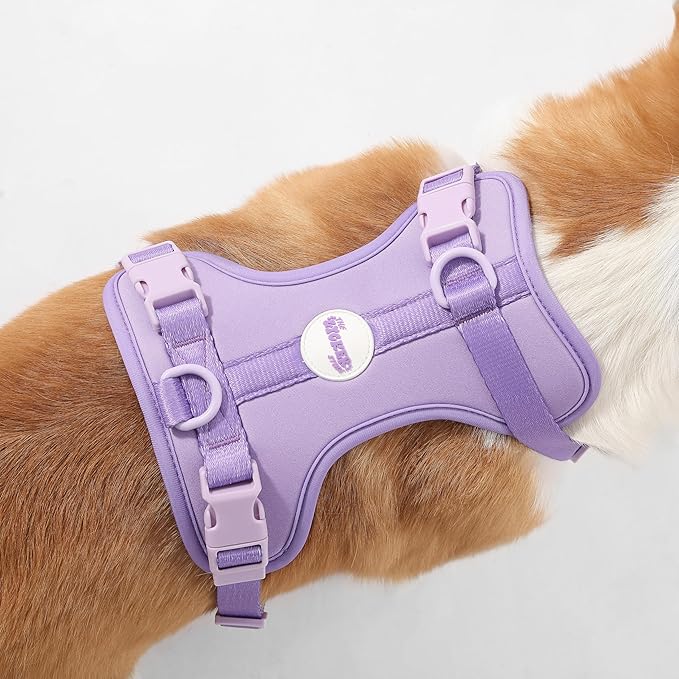 HNS1002H Arlo Medium Adjustable Soft Padded No Pull Pet Harness with 3 Buckles and 3 Leash Clips, Bramble