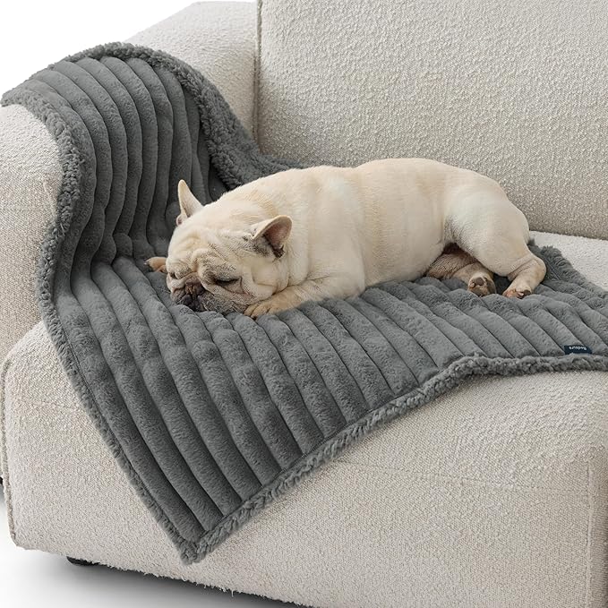 Bedsure ComfyFleece Waterproof Dog Blankets for Medium Dogs - Soft Puppy Cat Blanket Corduroy Fleece Washable, Cozy Calming Reversible Furniture Protection for Pet Kitten Doggy,30"x40", Warm Grey