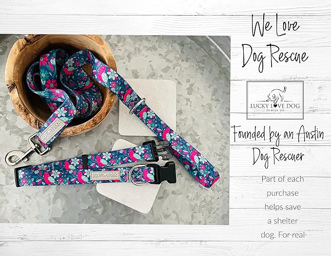 Lucky Love Dog Wide Dog Collar - Adjustable, Durable, Soft Webbing, & Comfortable 1.5 inch Wide Collar for Dogs Male and Female with Strong Buckle - Carriebelle, X-Large