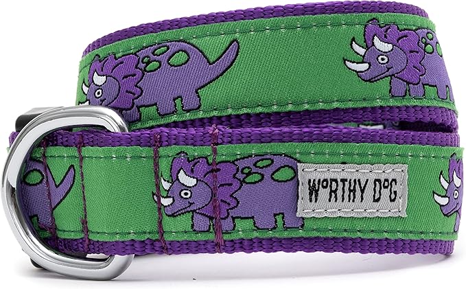 THE WORTHY DOG Collar for Small Dogs, Adjusts 9-15 inches, Durable Nylon Webbing, Quick Release Buckle, Triceratops Pattern, Green, Small