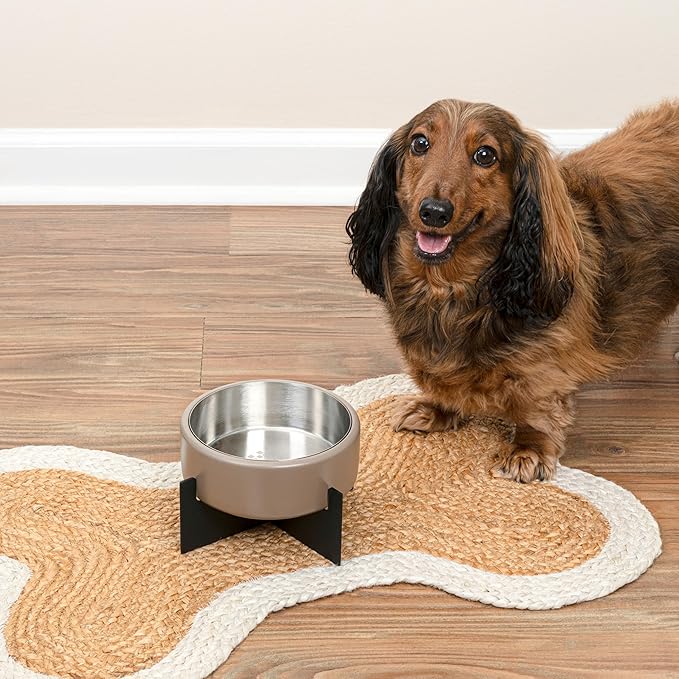 DBL3000G Intersecta Small/Medium Concrete and Stainless Steel Bowl 16oz (2 Cups) with Metal Stand Pet Feeder, Brown/Black
