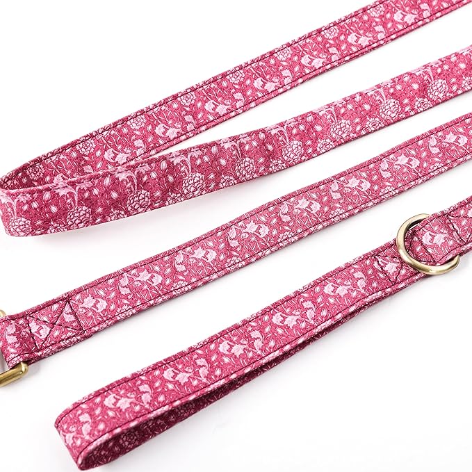 Organic Cotton Dog Leash for Small,Medium and Large Breed,Brass Hardware Pet Leash for Walking,Running and Training 6FT