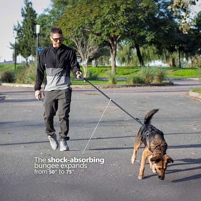 Waist Leash for Dog Walking, Running Leash for Dogs with Metal Quick-Release Buckle, Shock-Absorbing Rope Bungee, Neoprene Lumbar Support - Comfortable Hands Free Control for Daily Walks