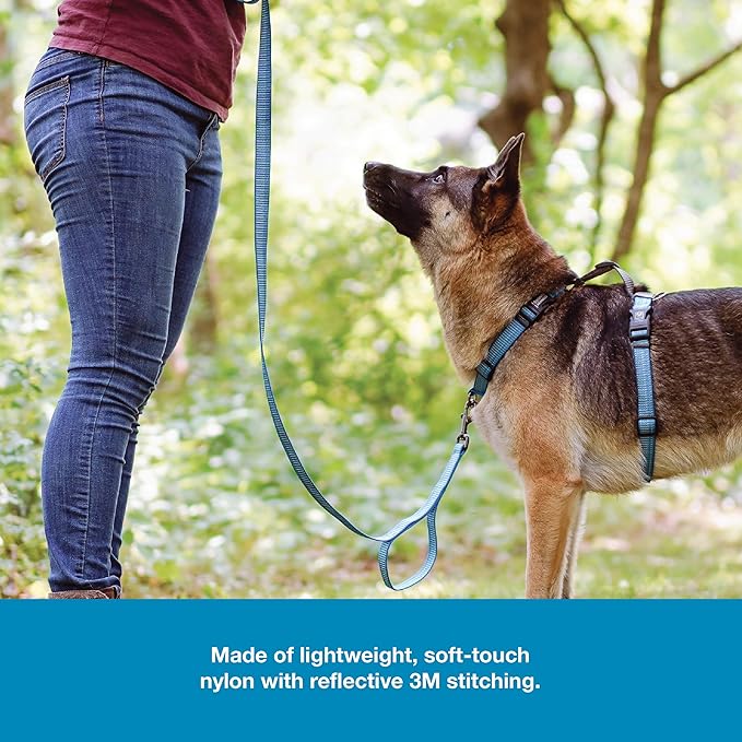 Blue-9 Reflective Dog Leash, Multi-Function 6 Foot Adjustable Lead with Traffic Loop and 3M Reflective Stitching for Obedience, Running, and Agility Training, Made in The USA, Small/Medium, Blue