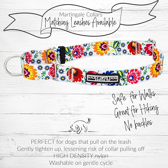 Lucky Love Dog Martingale Dog Collar & Leash - Adjustable, No-Slip, Durable, Comfortable, Soft Webbing, & Stylish Patterned Collar & Leash Set for Male and Female Dogs - Ladybird Combo, Small