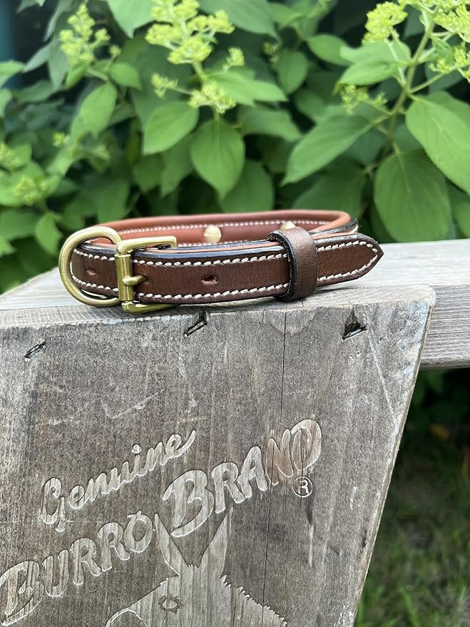 Leaders Leather Dog Collar with Customized Name Plate (Small (10"-12"))
