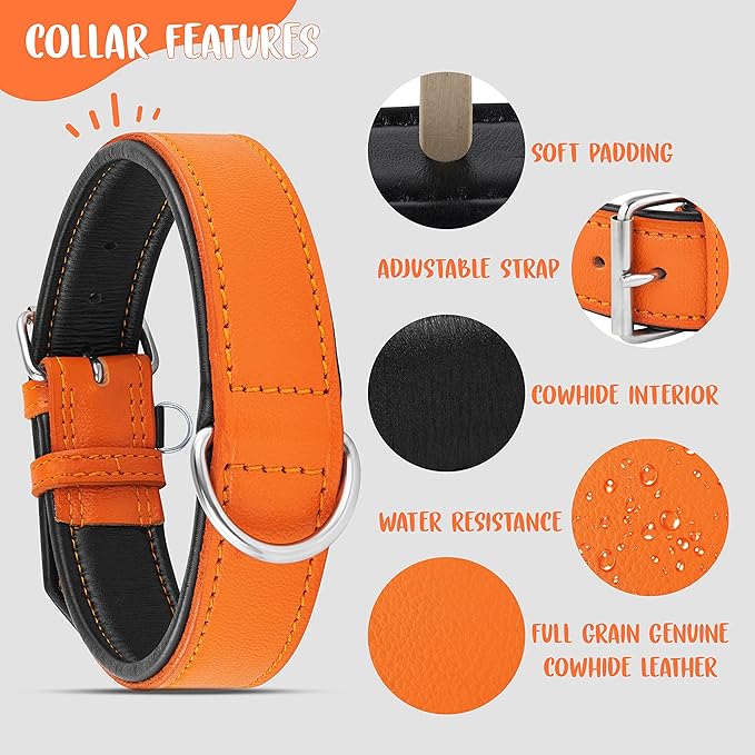 Riparo Extra Wide Leather Dog Collar - Heavy Duty Wide Dog Collar for Small, Medium, Large and Extra Large Dogs with Dog Tag Holder (XXL: 2” Wide for 24”-29” Neck, Orange)