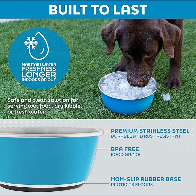 Master Pet Supply Stainless Steel Dog Bowls Set of 2 (16 Oz Each) with Non-Slip Rubber Base - Mango Tango - Basic Dog Food Bowl Water & Food Bowls for Small Medium Large Dogs & Cats, Metal Dish