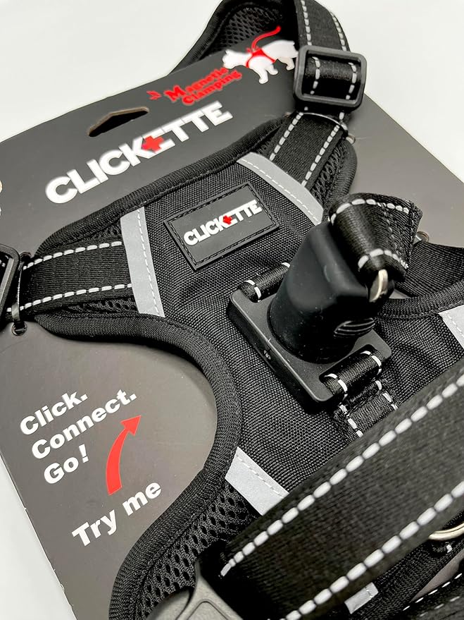 Clickette™ Magnetic Locking Harness and Leash (Black, Medium)